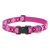 Lupine Original Collection Puppy Love Adjustable Collar 2,5 cm width 31-50 cm -  For Medium and Larger Dogs