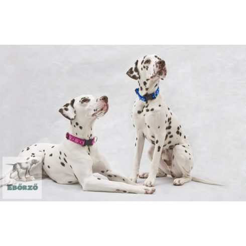 LUPINE nyakörv (Puppy Love 2,5 cm széles 41-71 cm)