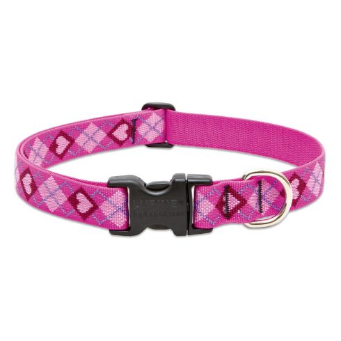Lupine Original Collection Puppy Love Adjustable Collar 2,5 cm width 64-78 cm -  For Larger Dogs