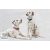LUPINE Halsband (Puppy Love 2,5 cm breit 64-78 cm)