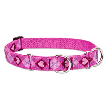   Lupine Original Collection Puppy Love Martingale Training Collar 2,5 cm width 39-55 cm -  For Medium and Larger Dogs