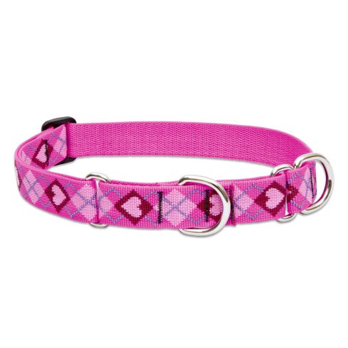 Lupine Original Collection Puppy Love Martingale Training Collar 2,5 cm width 49-68 cm -  For Larger Dogs