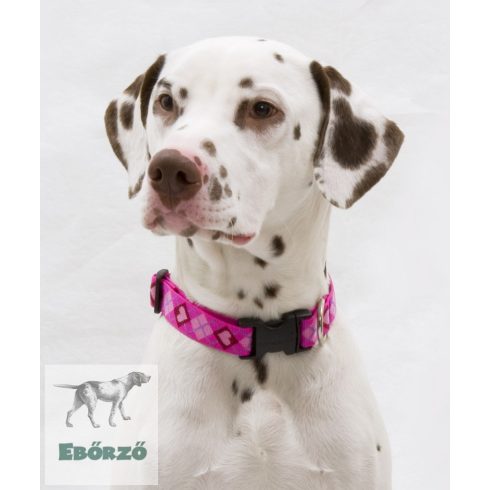 Lupine Original Designs Puppy Love Padded Handle Leash 2,5 cm width 122 cm - For medium and larger dogs