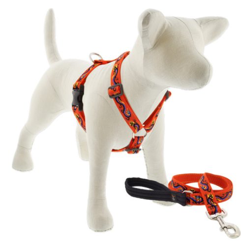 Lupine Roman hám (Lucky Dragon 2,5 cm széles  51-81 cm)