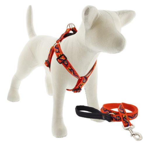 Lupine Step-in hám (Lucky Dragon 2,5 cm széles  49-68 cm)