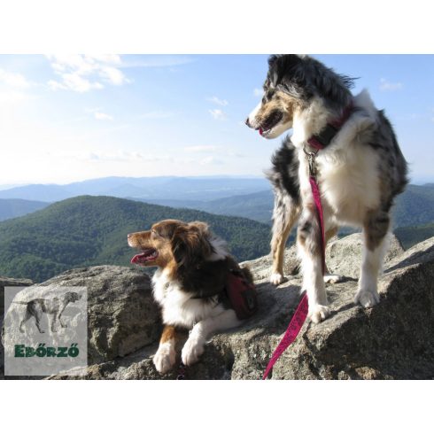 LUPINE nyakörv (Plum Blossom 2,5 cm széles 31-50 cm)