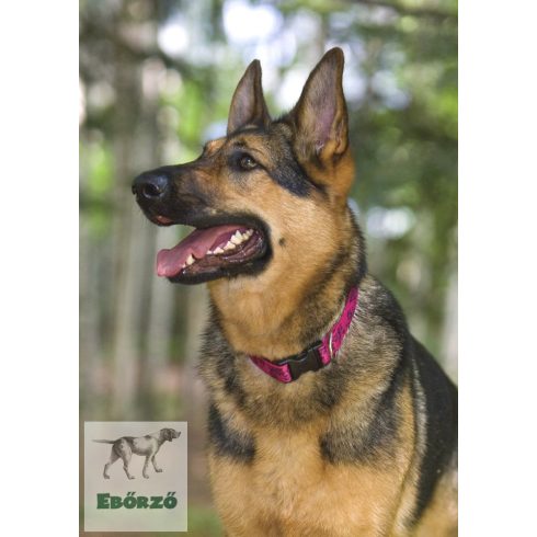 Lupine Original Collection Plum Blossom Martingale Training Collar 2,5 cm width 39-55 cm -  For Medium and Larger Dogs