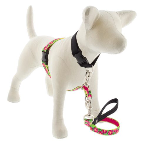 LUPINE NO PULL (Petunias 2,5 cm széles 60-96 cm)