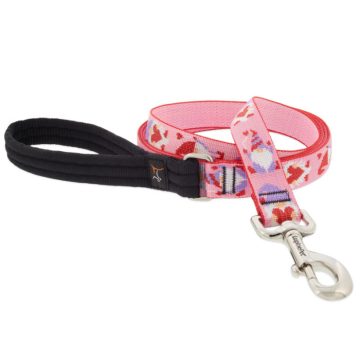   Lupine Microbatch Collection Lovable Gnomes Padded Handle Leash 2,5 cm width 122 cm - For medium and larger dogs