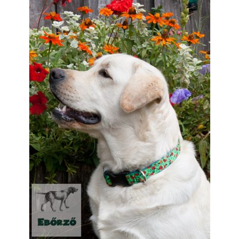 Lupine Original Designs Beetlemania Padded Handle Leash 2,5 cm width 122 cm - For medium and larger dogs