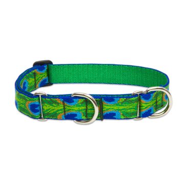   Lupine Original Collection Tail Feathers Martingale Training Collar 2,5 cm width 49-68 cm -  For Larger Dogs