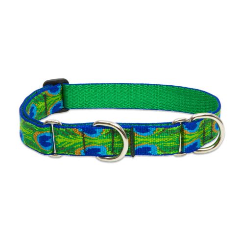 Lupine Original Collection Tail Feathers Martingale Training Collar 2,5 cm width 49-68 cm -  For Larger Dogs