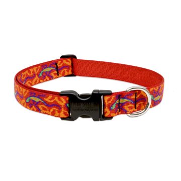   Lupine Original Collection Go Go Gecko Adjustable Collar 2,5 cm width 31-50 cm -  For Medium and Larger Dogs