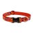 Lupine Original Collection Go Go Gecko Adjustable Collar 2,5 cm width 31-50 cm -  For Medium and Larger Dogs