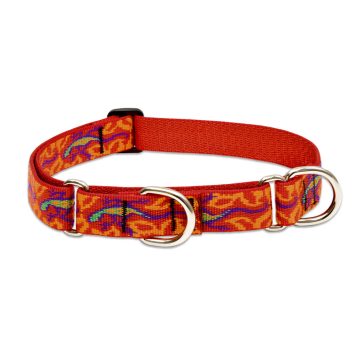   Lupine Original Collection Go Go Gecko Martingale Training Collar 2,5 cm width 39-55 cm -  For Medium and Larger Dogs