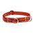 Lupine Original Collection Go Go Gecko Martingale Training Collar 2,5 cm width 39-55 cm -  For Medium and Larger Dogs