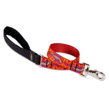   Lupine Original Designs Go Go Gecko Padded Handle Leash 2,5 cm width 61 cm - For medium and larger dogs