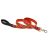 Lupine Original Designs Go Go Gecko Padded Handle Leash 2,5 cm width 122 cm - For medium and larger dogs