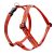 Lupine Original Collection Go Go Gecko Roman Harness  2,5 cm width 51-81 cm -  For Medium and Larger Dogs