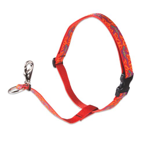 Lupine Original Collection Go Go Gecko No Pull Training Harness 2,5 cm width  60-96  cm - For medium and larger dogs