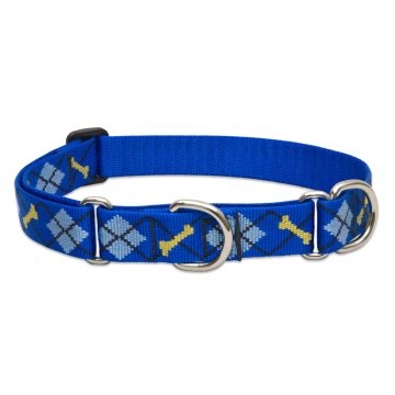   Lupine Original Collection Dapper Dog Martingale Training Collar 2,5 cm width 39-55 cm -  For Medium and Larger Dogs