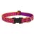 Lupine Original Collection Alpen Glow Adjustable Collar 2,5 cm width 31-50 cm -  For Medium and Larger Dogs