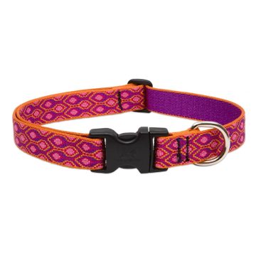   Lupine Original Collection Alpen Glow Adjustable Collar 2,5 cm width 64-78 cm -  For Medium and Larger Dogs
