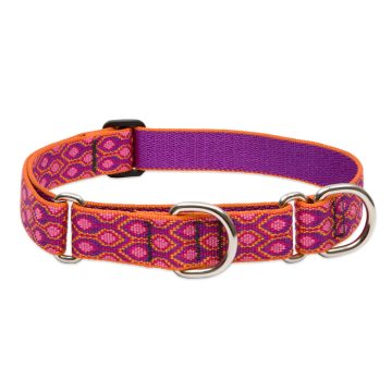   Lupine Original Collection Alpen Glow Martingale Training Collar 2,5 cm width 39-55 cm -  For Medium and Larger Dogs