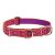 Lupine Original Collection Alpen Glow Martingale Training Collar 2,5 cm width 39-55 cm -  For Medium and Larger Dogs