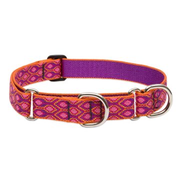   Lupine Original Collection Alpen Glow Martingale Training Collar 2,5 cm width 49-68 cm -  For Larger Dogs