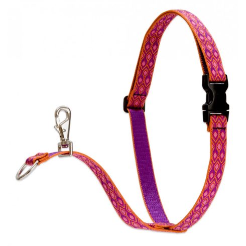 Lupine Original Collection Alpen Glow No Pull Training Harness 2,5 cm width  60-96 cm - For medium and larger dogs