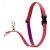 Lupine Original Collection Alpen Glow No Pull Training Harness 2,5 cm width  60-96 cm - For medium and larger dogs