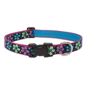   Lupine Original Collection Flower Power Adjustable Collar 2,5 cm width 41-71 cm -  For Medium and Larger Dogs