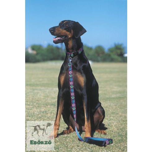 Lupine Original Designs Flower Power Padded Handle Leash 2,5 cm width 183 cm - For medium and larger dogs