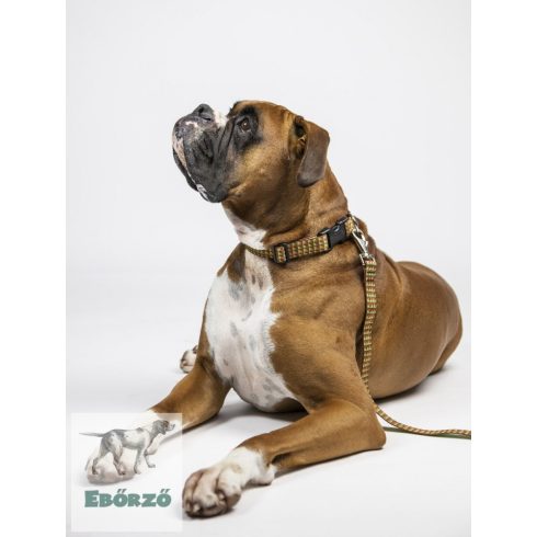 LUPINE nyakörv (Copper Canyon 2,5 cm széles 31-50 cm) 