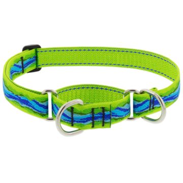   Lupine Original Collection Blue River Martingale Training Collar 2,5 cm width 39-55 cm -  For Medium and Larger Dogs