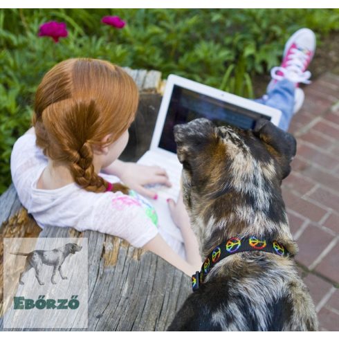 LUPINE póráz (Woofstock 2,5 cm széles 122 cm)