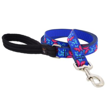   Lupine Original Designs Social Butterfly Padded Handle Leash 2,5 cm width 183 cm - For medium and larger dogs