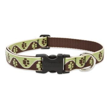   Lupine Original Collection Mud Puppy Adjustable Collar 2,5 cm width 31-50 cm -  For Medium and Larger Dogs