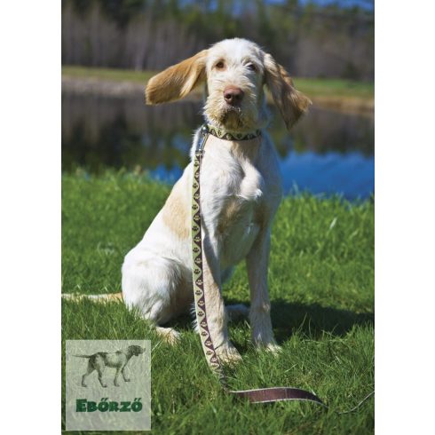 LUPINE nyakörv (Mud Puppy 2,5 cm széles 31-50 cm)