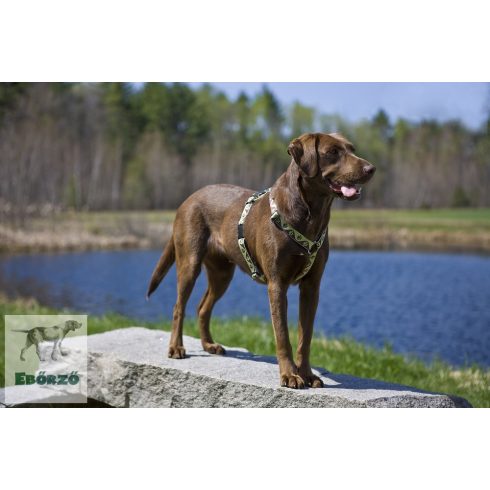 LUPINE nyakörv (Mud Puppy 2,5 cm széles 31-50 cm)