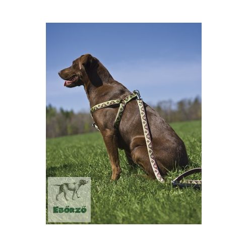 Lupine Original Designs Mud Puppy Padded Handle Leash 2,5 cm width 122 cm - For medium and larger dogs