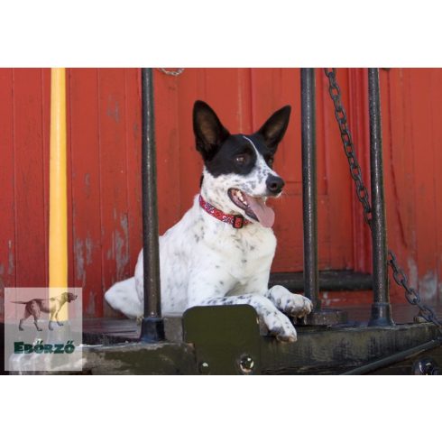 Lupine Original Designs Wild West Padded Handle Leash 2,5 cm width 122 cm - For medium and larger dogs