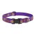 Lupine Original Collection Sunny Days Adjustable Collar 2,5 cm width 31-50 cm -  For Medium and Larger Dogs