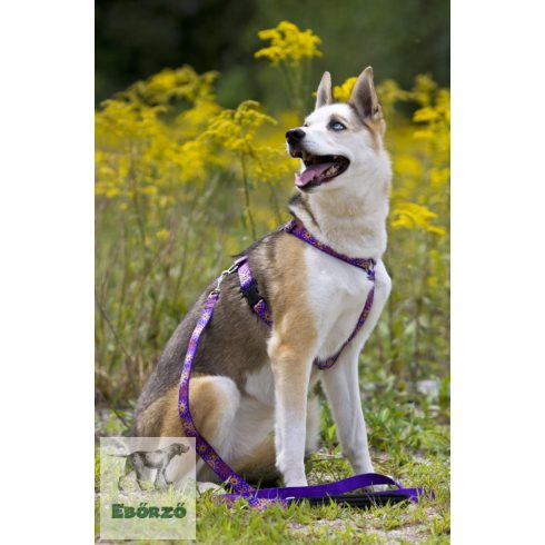 Lupine nyakörv (Sunny Days 2,5 cm széles 31-50 cm)