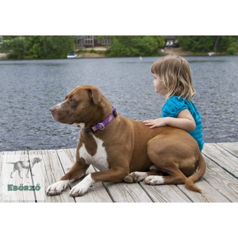 Lupine nyakörv (Sunny Days 2,5 cm széles 31-50 cm)