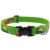 Lupine Microbatch Collection Parrots Adjustable Collar 2,5 cm width 31-50 cm -  For Medium and Larger Dogs