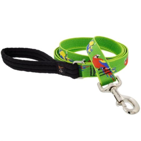 Lupine Microbatch Collection Parrots Padded Handle Leash 2,5 cm width 122 cm - For medium and larger dogs