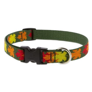   Lupine Microbatch Collection Sugar Bush Adjustable Collar 2,5 cm width 31-50 cm -  For Medium and Larger Dogs