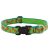 Lupine Microbatch Collection Meadow Adjustable Collar 2,5 cm width 31-50 cm -  For Medium and Larger Dogs